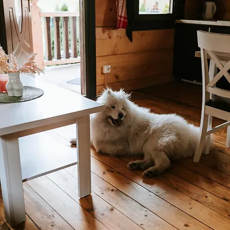 Domki,,chatki Goralskie 