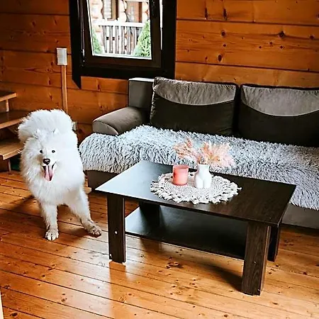 Domki,,chatki Góralskie