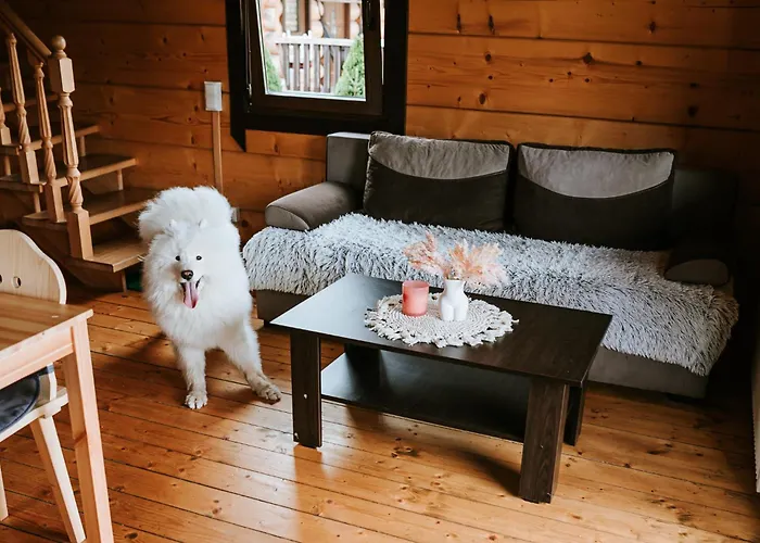 Domki,,chatki Góralskie Domek letniskowy *