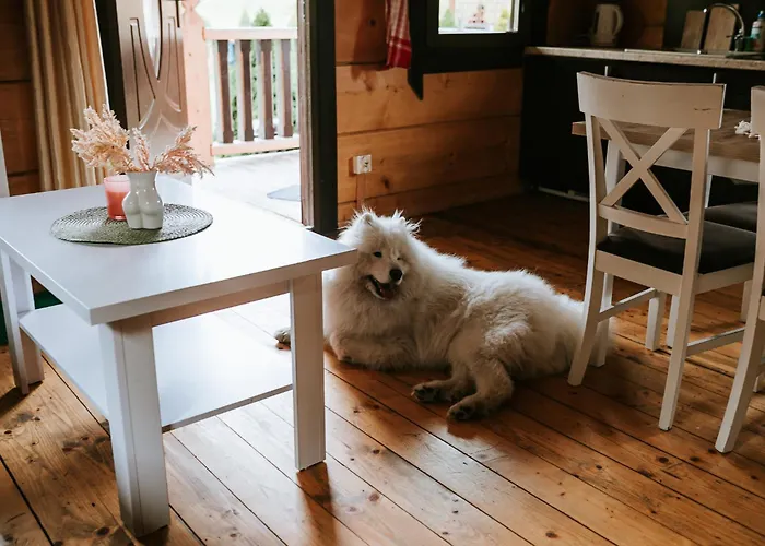 Domki,,chatki Góralskie Rabka